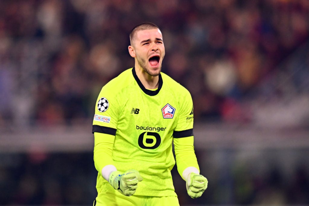 Bologna FC 1909 v LOSC Lille - UEFA Champions League 2024/25 League Phase MD5