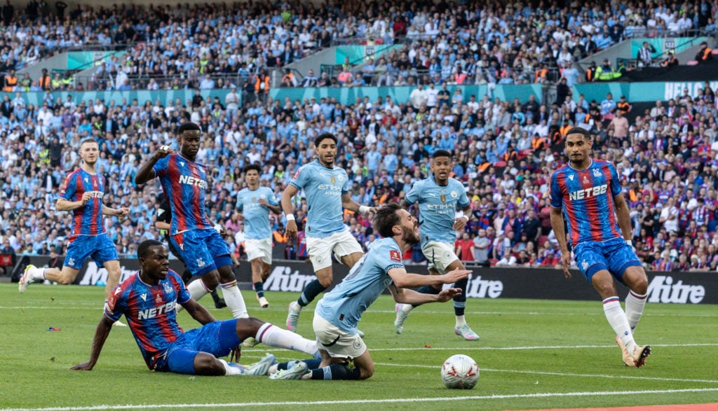 Crystal Palace v Manchester City - Emirates FA Cup Final