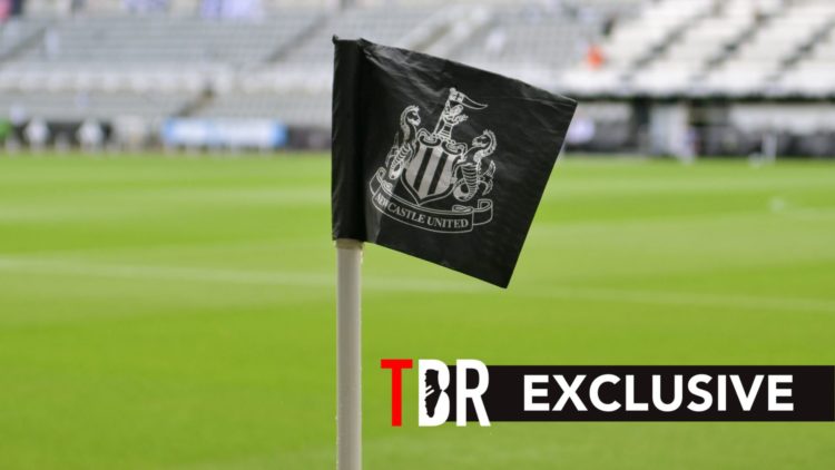 Image of Newcastle corner flag at St. James Park