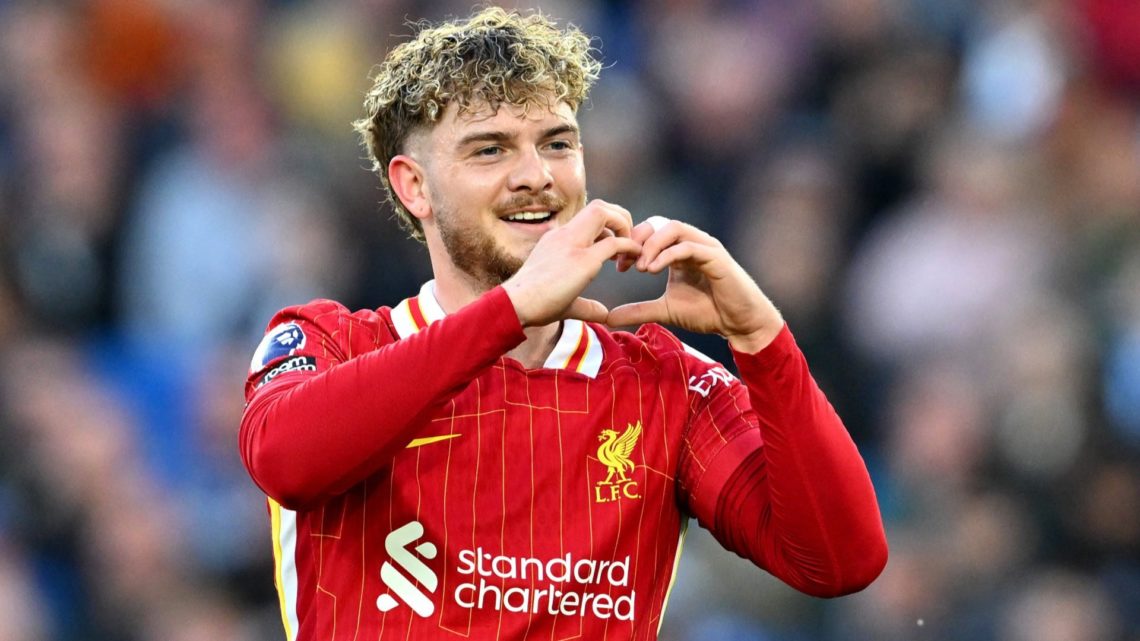 Image of Harvey Elliott celebrating his goal
