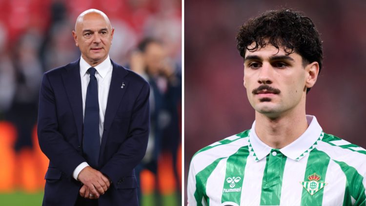 Split image of Daniel Levy and Johnny Cardoso
