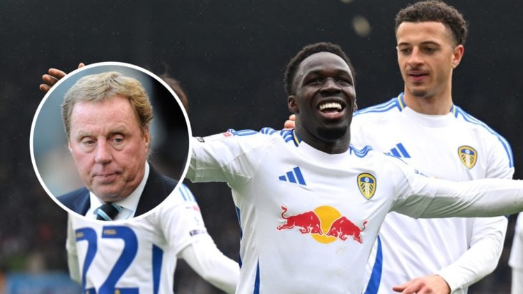Leeds players celebrate after scoring in the Championship. Inset, Harry Redknapp.