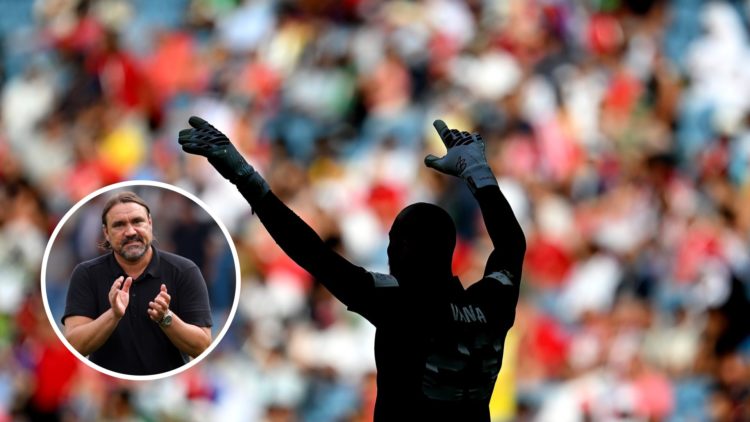Serbia goalkeeper Vanja Milinkovic-Savic with inset of Leeds United manager Daniel Farke