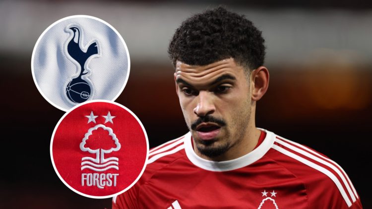 Morgan Gibbs-White in action during Premier League match. Inset of Tottenham Hotspur badge and Nottingham Forest crest.