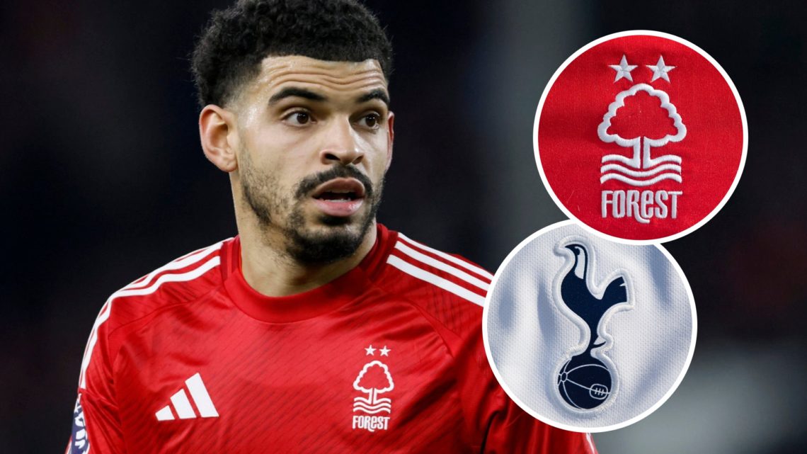 Morgan Gibbs-White during Nottingham Forest match in the Premier League. Inset of Tottenham Hotspur badge and Nottingham Forest crest.