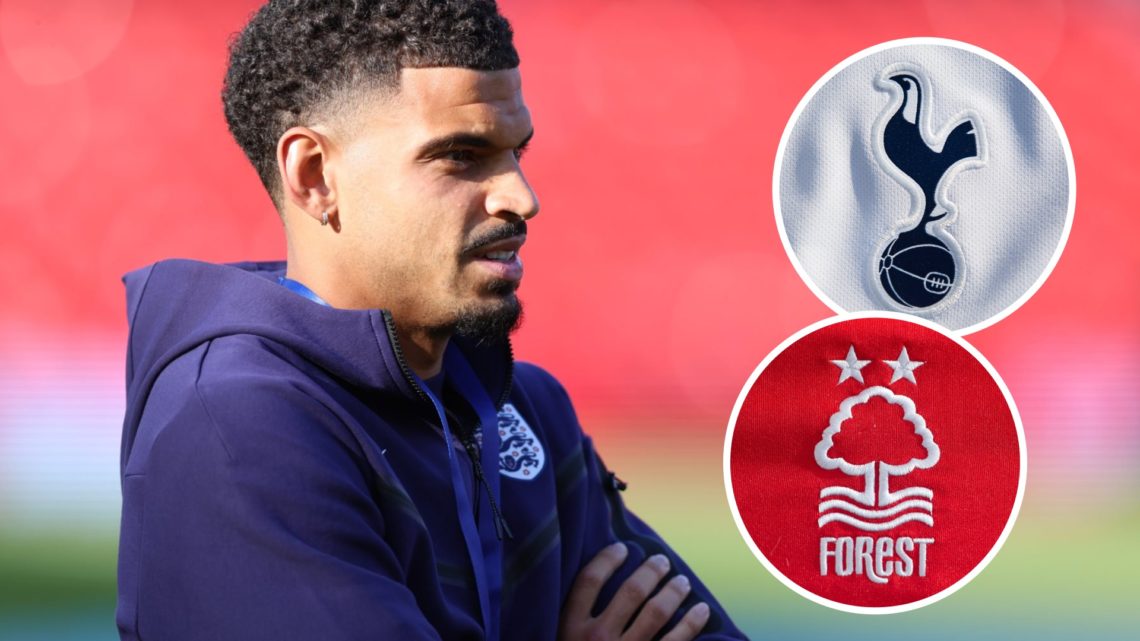 Morgan Gibbs-White ahead of England match. Inset of Tottenham Hotspur badge and Nottingham Forest badge.