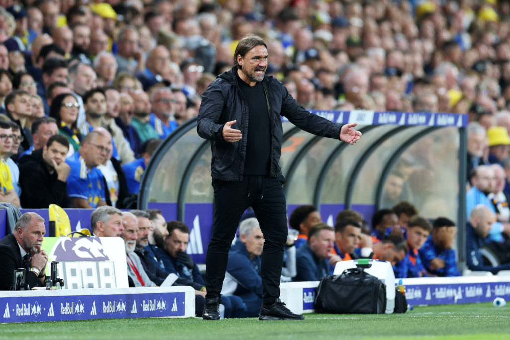 Leeds United boss Daniel Farke gives instructions against Everton