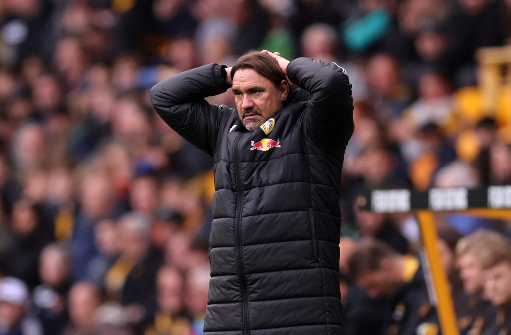 Daniel Farke reacts during Wolves vs Leeds United in the Premier League