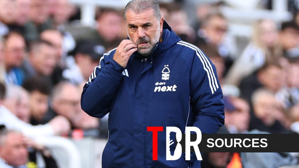 Nottingham Forest head coach Ange Postecoglou looks dejected during his side's defeat against Newcastle United