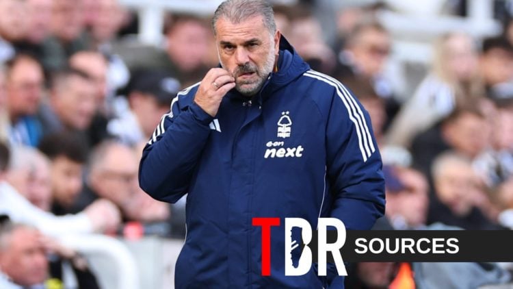 Nottingham Forest head coach Ange Postecoglou looks dejected during his side's defeat against Newcastle United