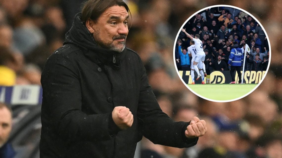 Leeds head coach Daniel Farke reacts on the touchline during his side's defeat against Tottenham at Elland Road, alongside an inset of Noah Okafor ...