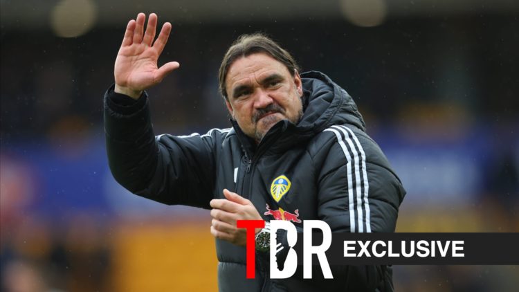 Daniel Farke waves on after Leeds United beat Wolves in the Premier League