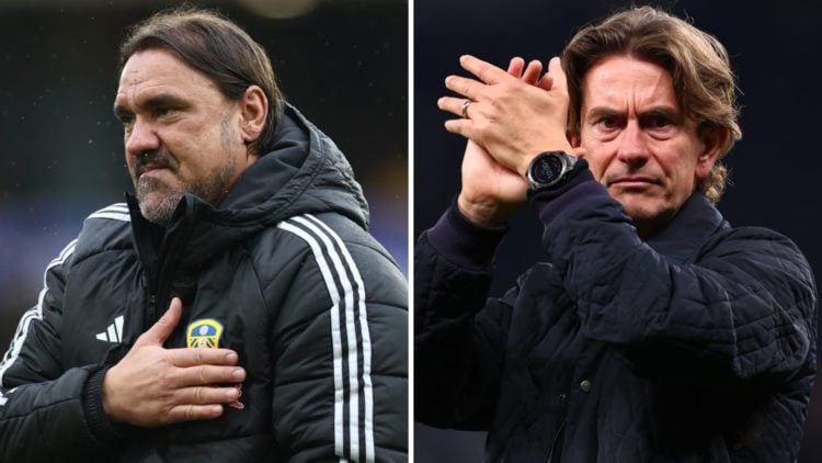 A split image featuring Leeds United boss Daniel Farke alongside Tottenham manager Daniel Farke